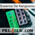 Kangaroo Essence new04